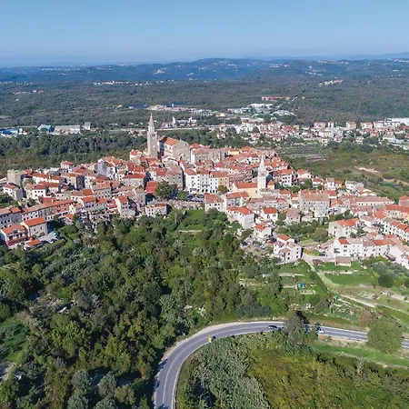Cozy In * Buje